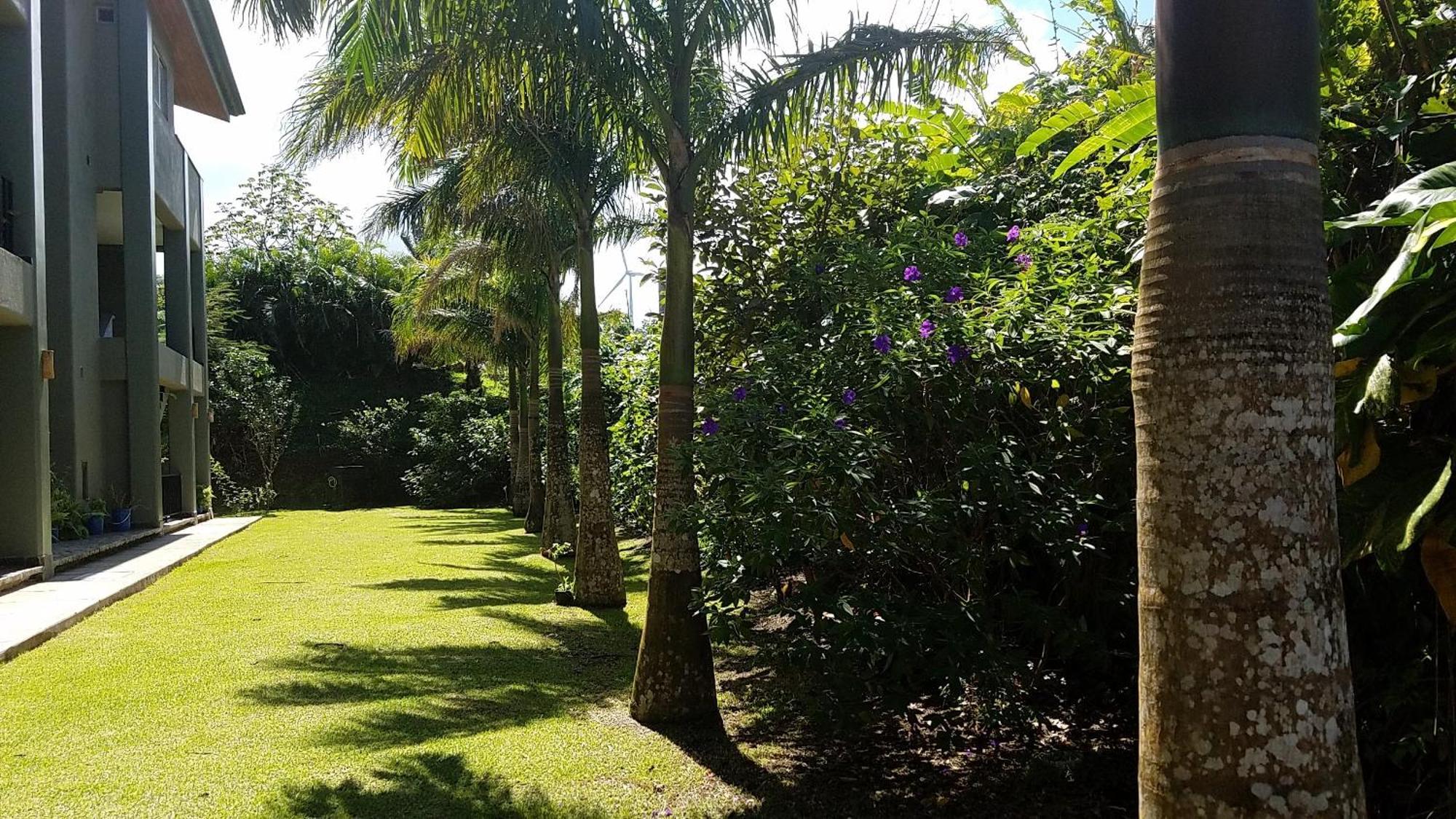 Lake Arenal Condos Naranjos Agrios Luaran gambar