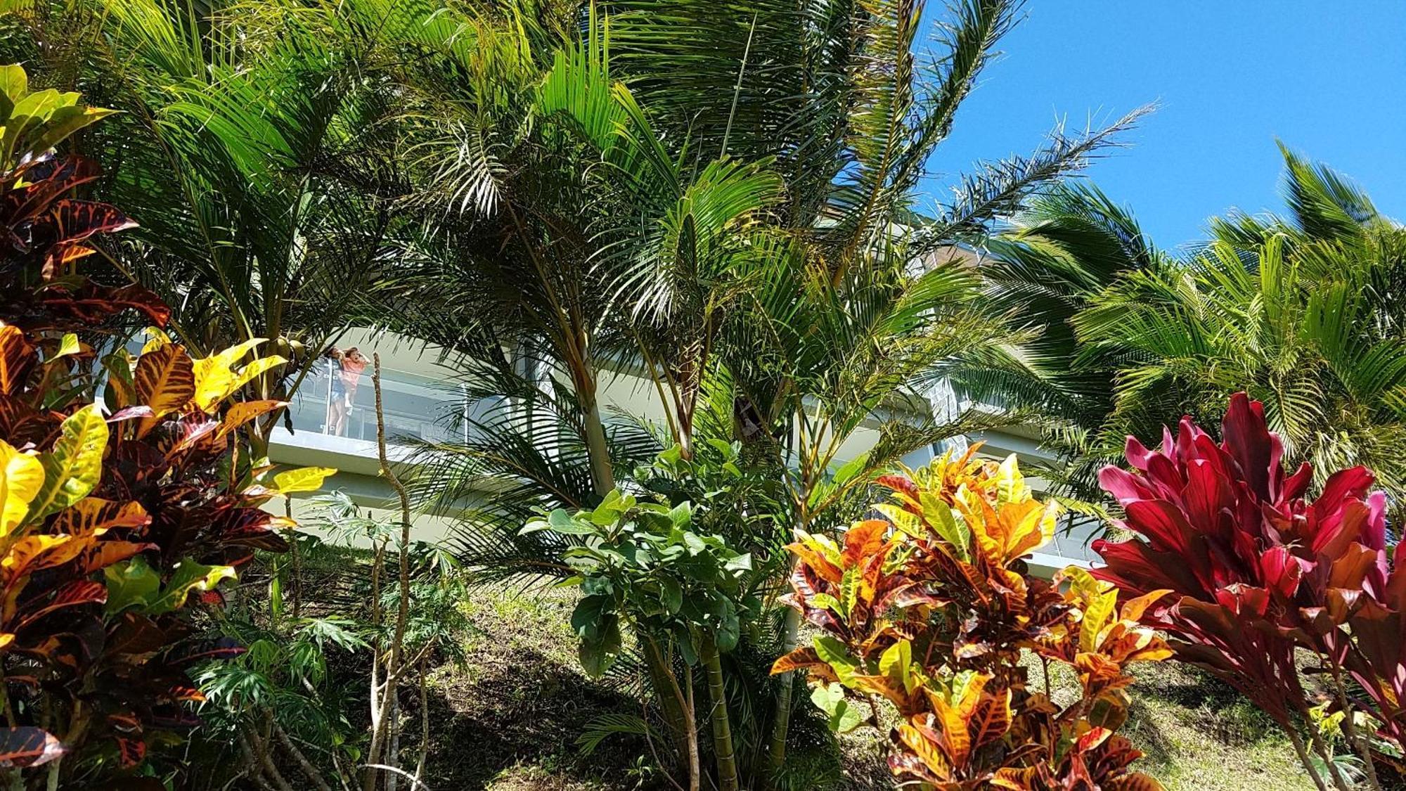 Lake Arenal Condos Naranjos Agrios Luaran gambar